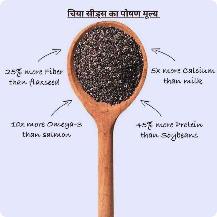 Your paragraph text_11zon chia seeds